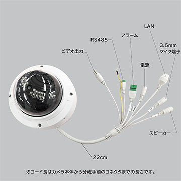 Secula SCL-02DC01