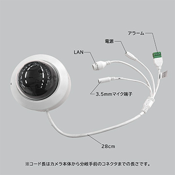 Secula SCL-02DD03