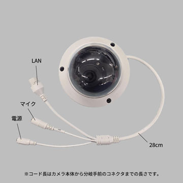 Secula SCL-02DF01