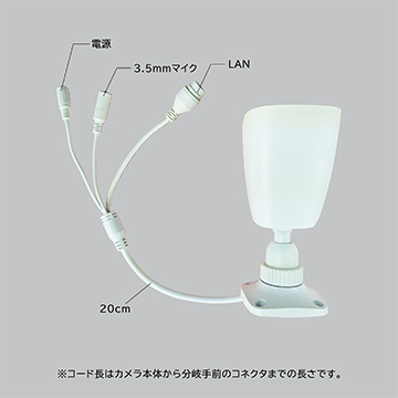 Secula SCL-02TA04