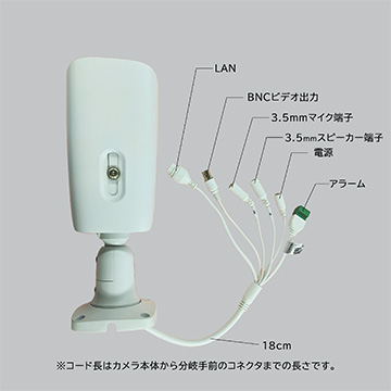 Secula SCL-02TE02