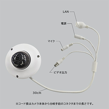 Secula SCL-04DA01