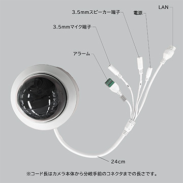 Secula SCL-08DE01