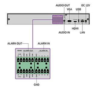 Secula SCL-N016N01 背面図