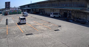 津山中央青果株式会社（岡山県）