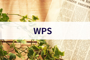 WPSとは何のことですか
