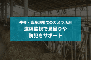 牛舎・畜産現場でのカメラ活用｜遠隔監視で見回りや防犯をサポート